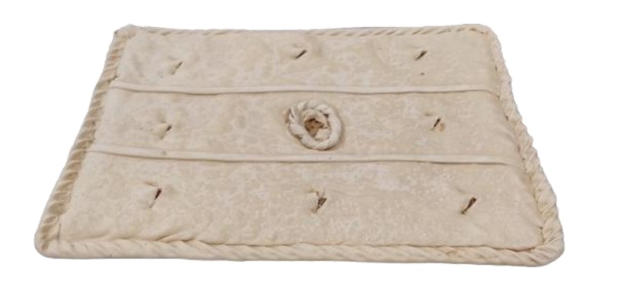 Empanada Gourmet Plancha Carne